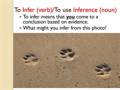 inference noun .
